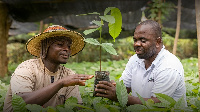 Cargill has been working with farmers to sustain the cocoa sector