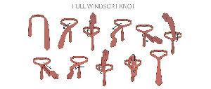 Windsor Knot