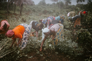 Farmers Women4.png