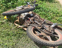 The man reportedly died after running into the stationary timber trailer loaded with five logs