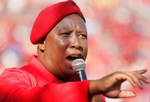 Julius Malema is one of South Africa's most controversial politicians