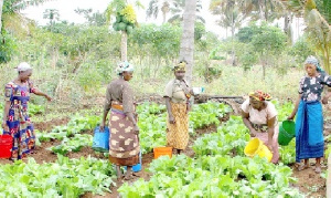 Women Inagric