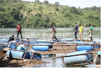 The biosecured facility was the birthplace of the Akosombo Strain of the Nile Tilapia