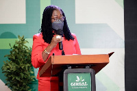 Elsie Addo Awadzi, Second Deputy Governor, Bank of Ghana