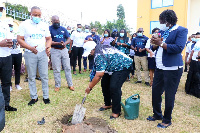 Dr. Lydia Dsane-Selby planting a tree