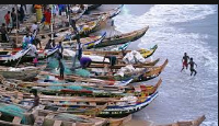 Hawa Koomson urged adherence to the closed season and cessation of unregulated fishing activities