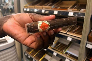 African Cigar