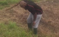 Trigmatic on his farm