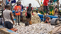 Local fishermen in a fishing community