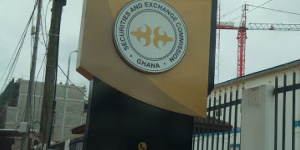 The Securities and Exchange Commission (SEC)