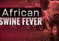 The country has recorded several cases of African swine fever