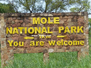 The Mole National Park