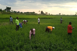 File Photo of some farmers