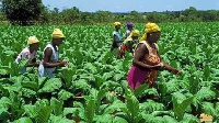 File photo of women on a farm