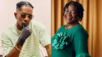 Shatta Wale, Professor Rosina