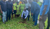 Staff of the company partaking in the tree planting exercise