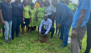 Staff of the company partaking in the tree planting exercise