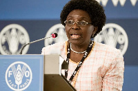 Prof. Anna Lartey, immediate past Director of Nutrition at the Food and Agriculture Organisation-UN