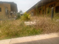 A part of the facility overgrown with weeds. Photo: Adomonline