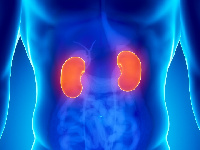 Chronic kidney disease is commonly caused by diabetes and high blood pressure