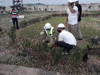 EPA and Ghana Limited officials planting trees