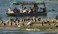 Tourists look at birds at the Queen Elizabeth National Park, western Uganda