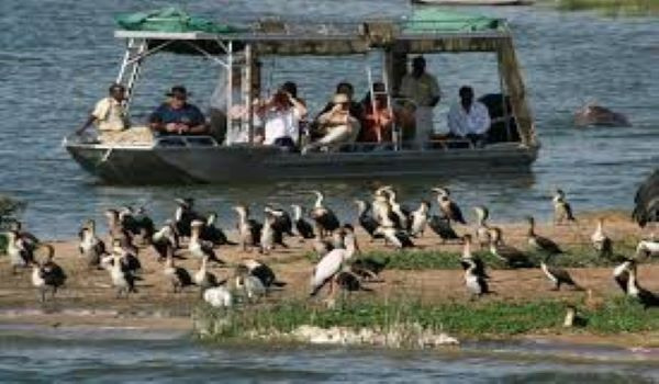 Tourists look at birds at the Queen Elizabeth National Park, western Uganda