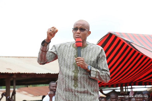 Mustapha Hamid, Spokesperson to the Flagbearer