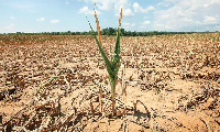 The man claims his 17 acres of farmland has been confiscated [File photo]