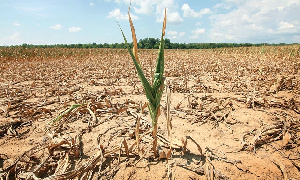 Drought Farmland