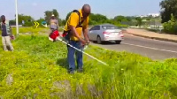 Former President Mahama over the weekend was spotted weeding around the military cemetery