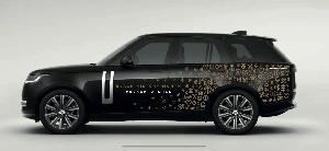 Land Rover Features Adinkra Symbols .jfif