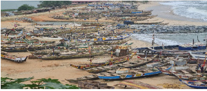 Fishing canoes