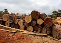 File photo of timber logs