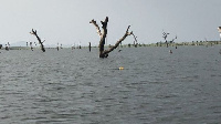 Lake Volta spans 3,300 sq mi (8,500 sq km) and is the world's largest man-made reservoir