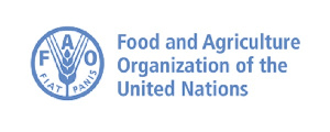 Food and Agriculture Organization of the United Nations (FAO)