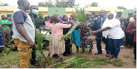 The presideing member of the assembly (right)  presenting seedlings to some beneficiaries