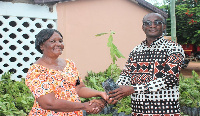 Gerard Ataogye, Kasena-Nankana West DCE presenting the seedlings to Doris Nabare