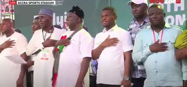 Some members of the new NEC of NDC