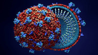 There has been a rise in coronavirus cases