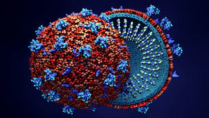 The Omicron variant of COVID-19 is reported to have been first discovered in South Africa