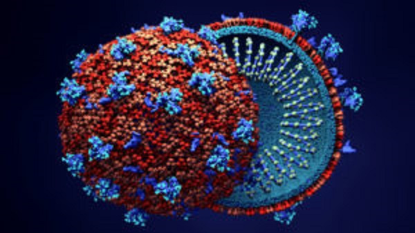 Coronavirus funds in the region were not accounted for