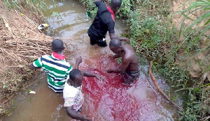 Some aggrieved NPP members at Juaben slaughtering a sheep in 