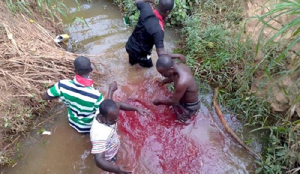 Some aggrieved NPP members at Juaben slaughtering a sheep in 