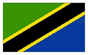 Tanzanian Flag