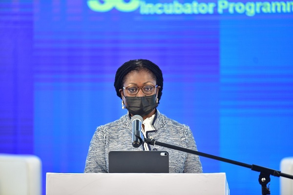 Elsie Addo Awadzi, Second Deputy Governor of Bank of Ghana