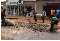 Farmers drying cashew nuts