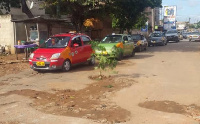 Pawpaw tree planted in pothole