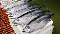 The aquaculture sector is vital for fishing communities