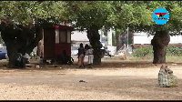 The children playing with the loose branch